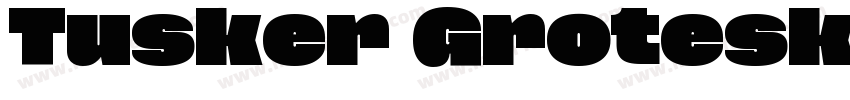 Tusker Grotesk 9800 Supe字体转换